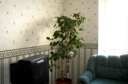 ������� 2