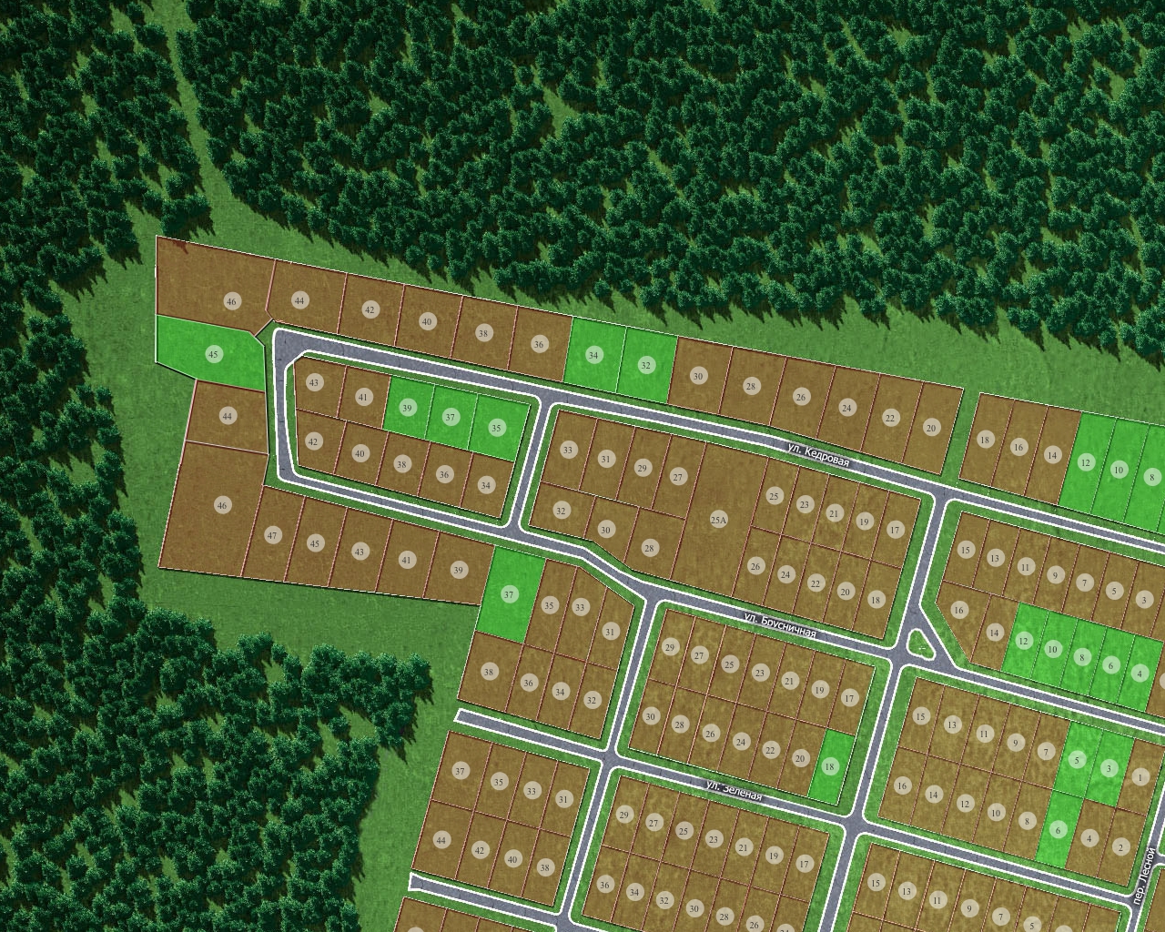 ��������, 36 �� �����