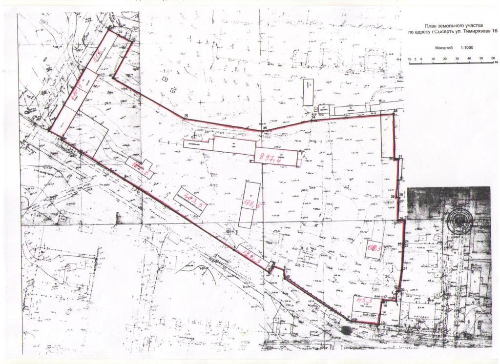 ���� ����